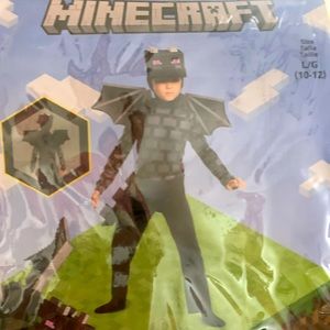 Minecraft End of Dragon Costume for kids-New